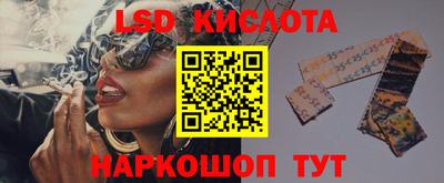 Альфа ПВП Заволжье