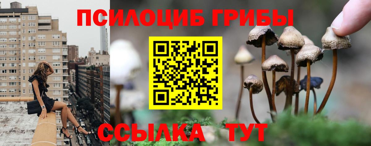 Псилоцибиновые грибы Magic Shrooms Магадан